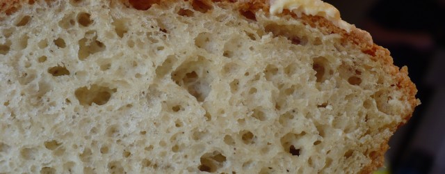 “Good bread is the most fundamentally satisfying of all foods; and good bread with fresh butter, the greatest of feasts.” James Beard Look at that slice of bread! That’s a...