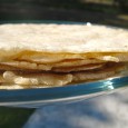 If you’ve been hesitant about diving into gluten free baking, then tortillas may be the place to start. There are very few ingredients and you can have tortillas ready to...