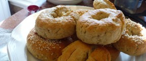 Gluten Free Bagels